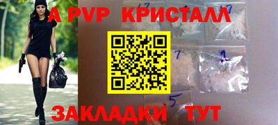 прущие грибы Малгобек