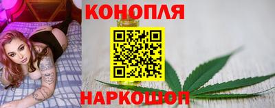 прущие грибы Малгобек