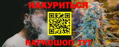 прущие грибы Малгобек