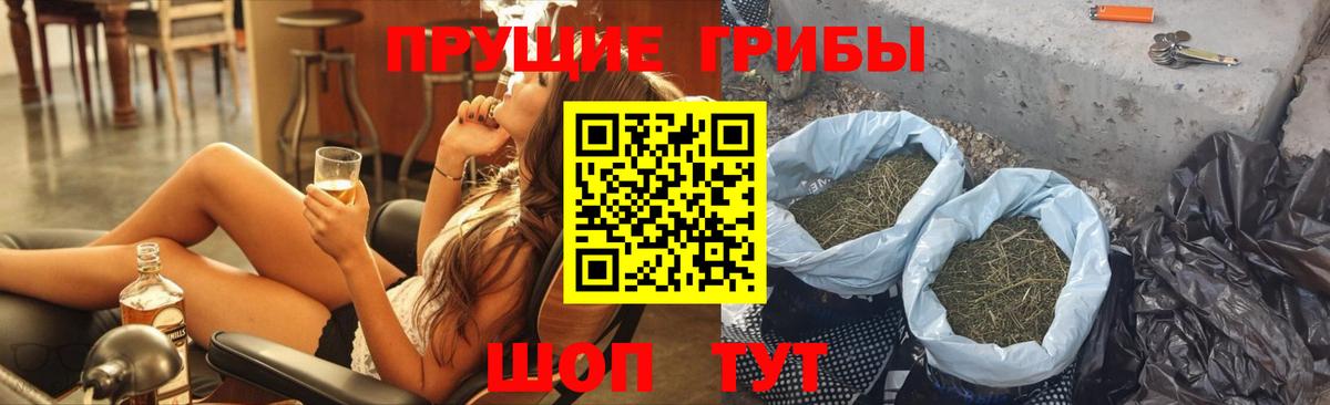 Шали  Псилоцибиновые грибы Psilocybe  Псилоцибиновые грибы Psilocybine cubensis  Вход с VPN 